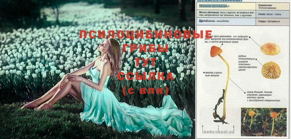 COCAINE Лихославль