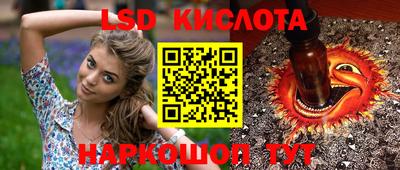 ALPHA PVP Аргун