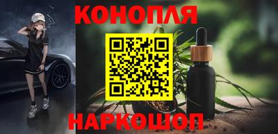 бошки Новозыбков