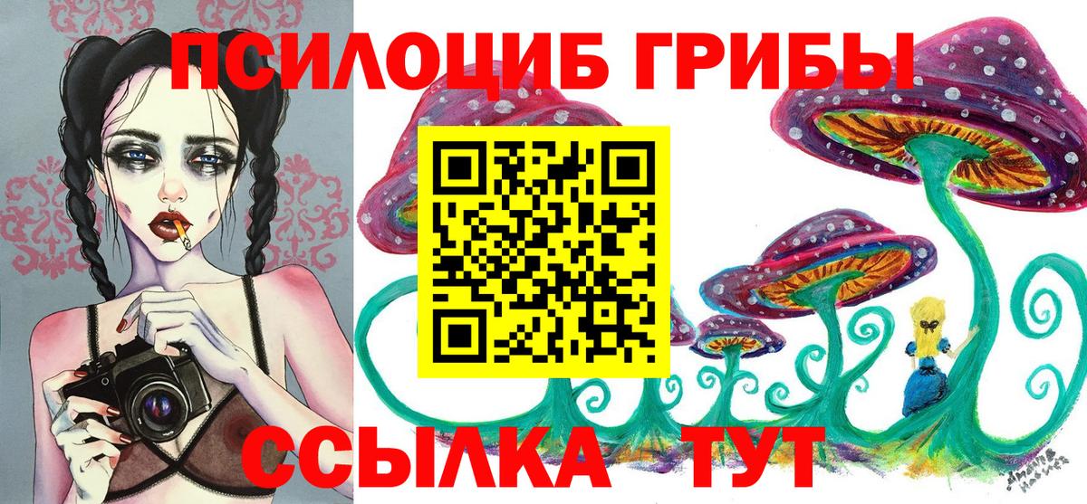 Псилоцибиновые грибы прущие грибы  Топки 