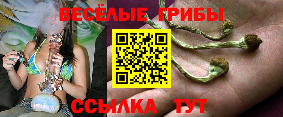 Топки  Псилоцибиновые грибы Cubensis  магазин  наркотиков  Галлюциногенные грибы прущие грибы  Вход с VPN 