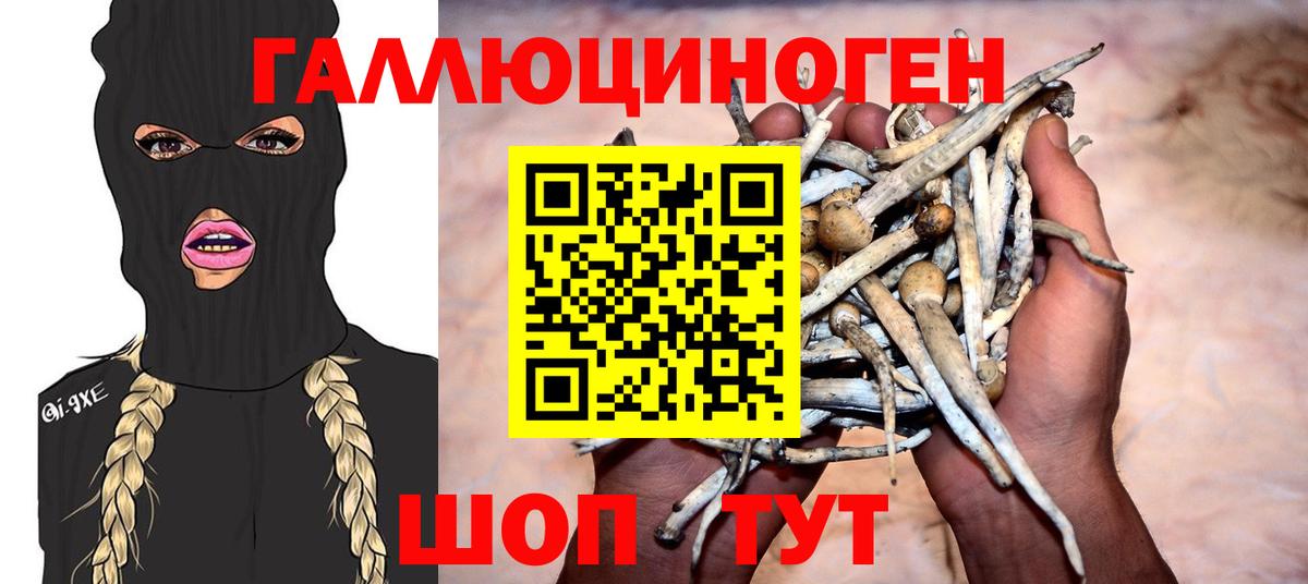Псилоцибиновые грибы мухоморы Топки