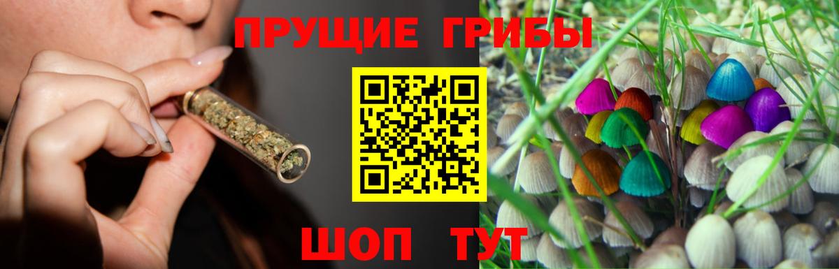 Галлюциногенные грибы GOLDEN TEACHER Топки